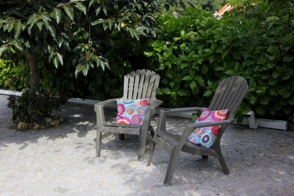 Casa Da Avo Olinda Villa Gois Luaran gambar